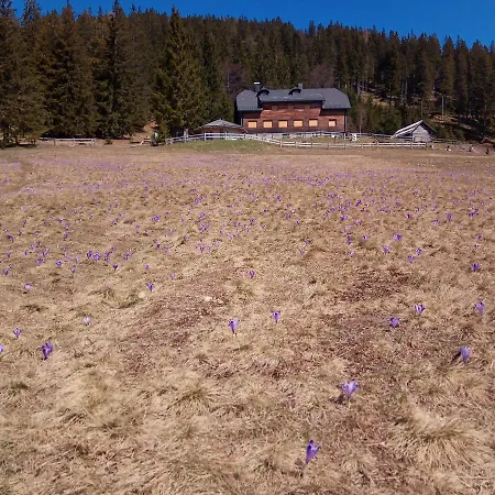 Mountain Smrekovc Sostanj