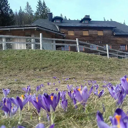 Mountain Smrekovc Alojamento de Turismo Selvagem